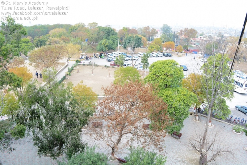 DSC_0798