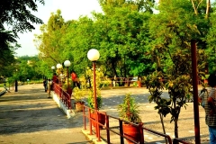 185378_143323879083475_140876585994871_268459_1459084_n