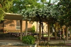 222427_143306762418520_140876585994871_268095_6940066_n