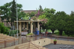 263210_142182922530904_140876585994871_264165_3295410_n