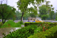 267220_142181505864379_140876585994871_264111_2495747_n