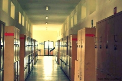 281645_142180902531106_140876585994871_264090_7331116_n