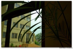 284133_141537969262066_140876585994871_262228_3456231_n