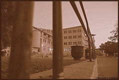 60018_429330874038_505474038_5273961_7479828_n